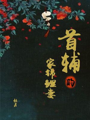 苏九月吴锡元的小说